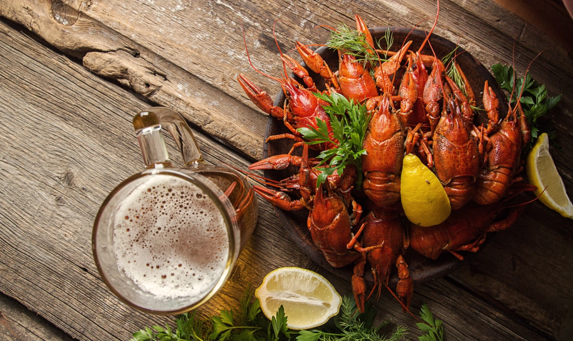Overhead view of a plate of crayfish with dill, lemon and beer